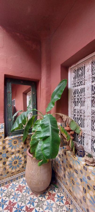 Riad Kainos Marrakesh Exterior foto